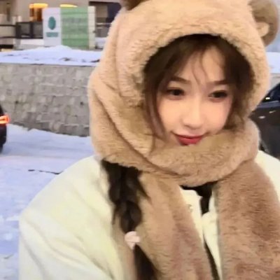 狮子护卫队第一季